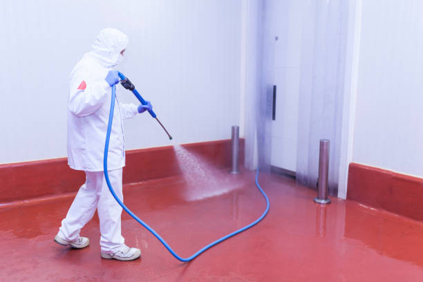 Best Warehouse Cleaning  in Schleswig, IA