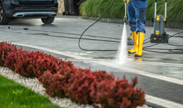 Best Dumpster Area Cleaning  in Schleswig, IA